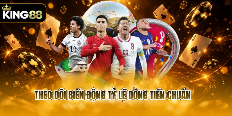 Theo dõi biến động tỷ lệ dòng tiền chuẩn