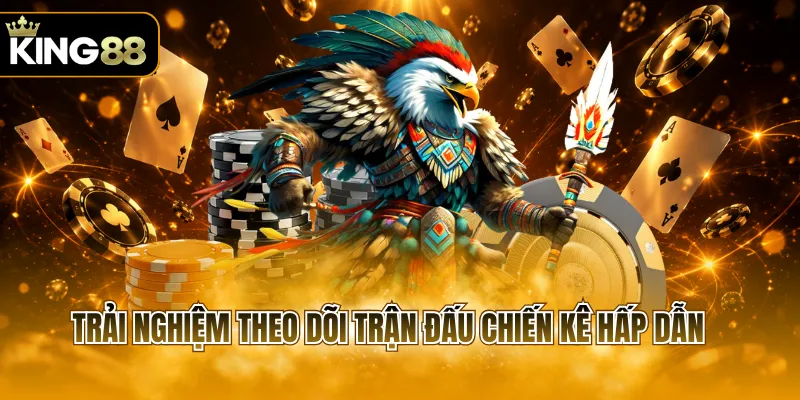 Trải nghiệm theo dõi trận đấu chiến kê hấp dẫn